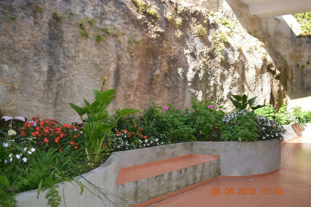 Coral Villa Ericeira Exteriér fotografie